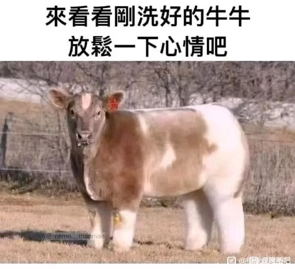 微信图片_20250803194423_25