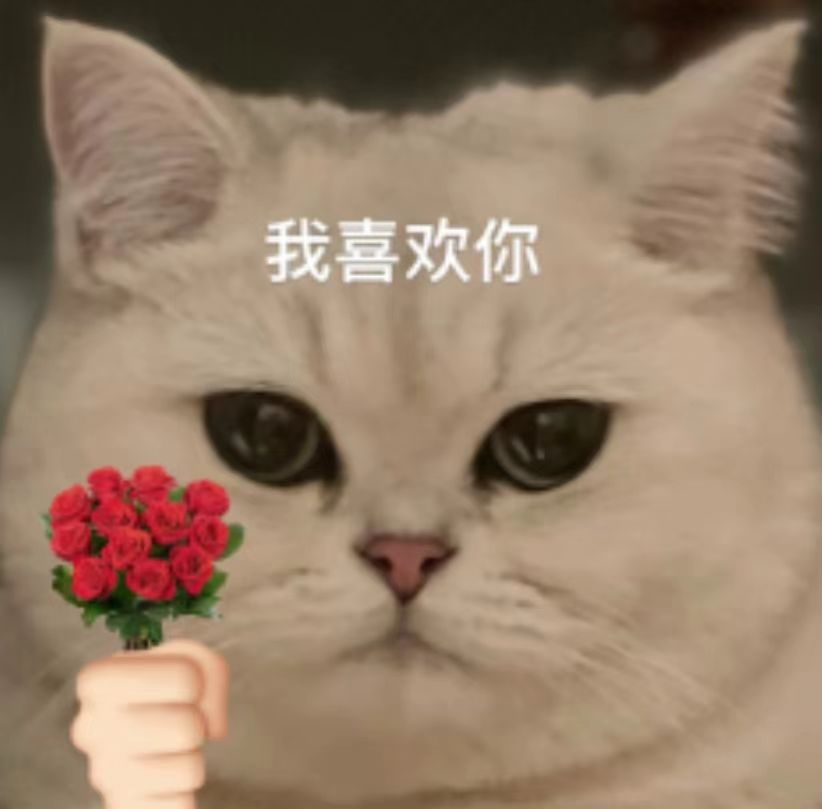 微信图片_20250804085841_45