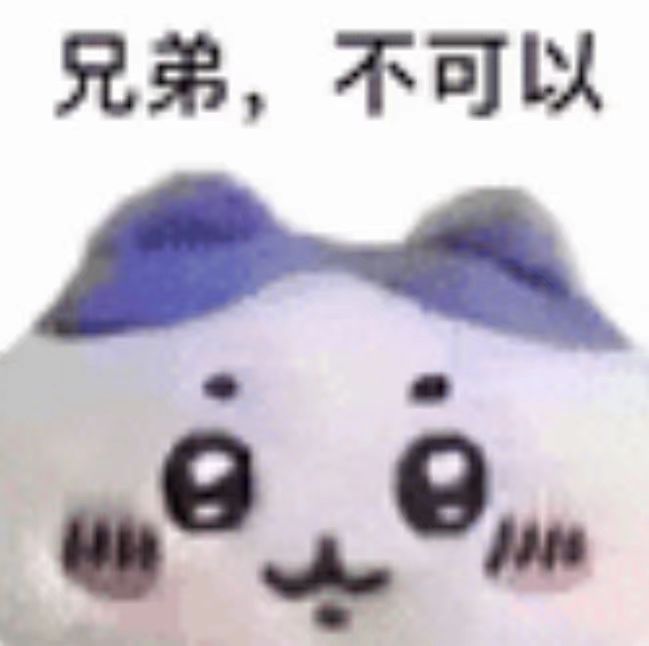 微信图片_20250804095621_61-副本