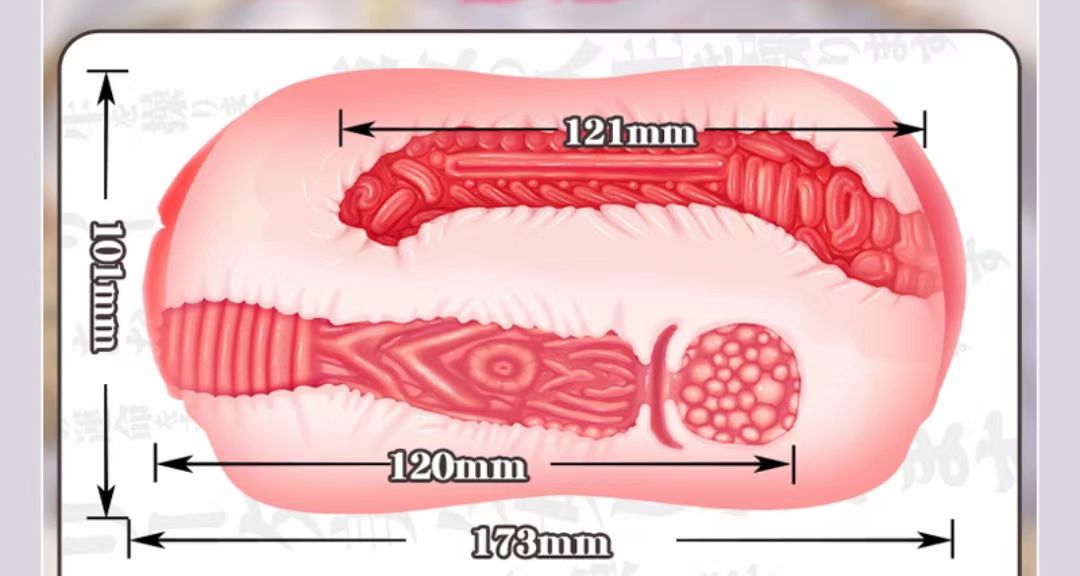 微信图片_20250925112203_552_11