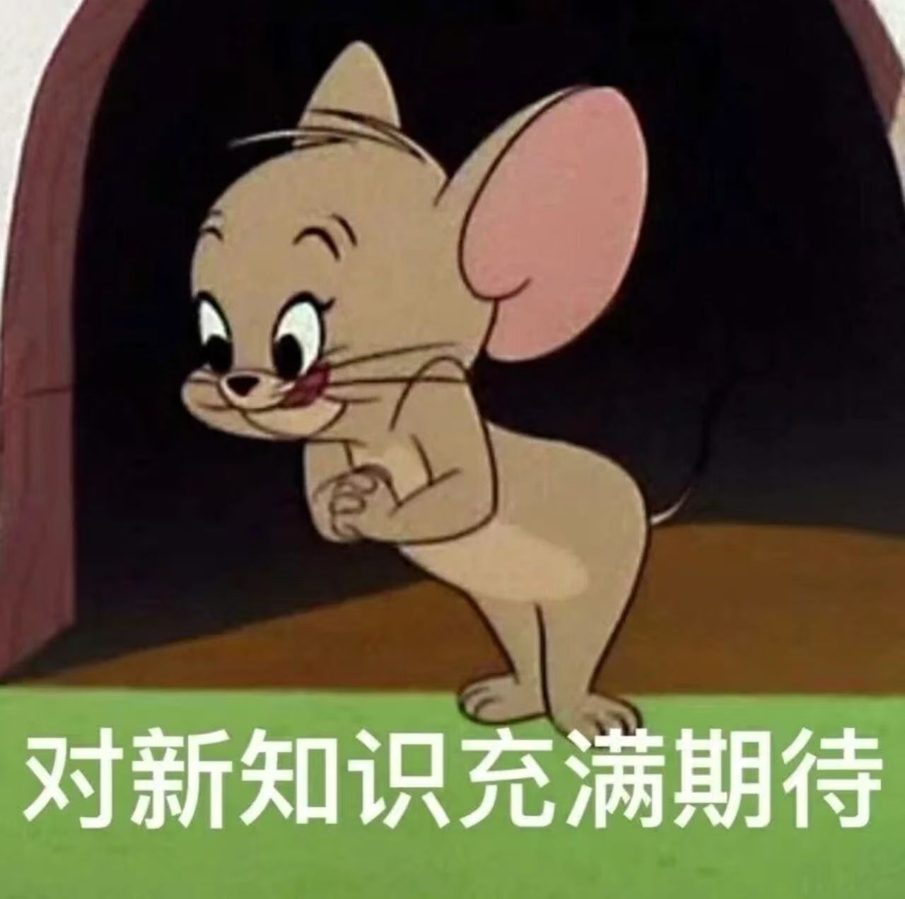 怕被杯杯秒掉?总比实战缴械来得好吧!-声量工坊