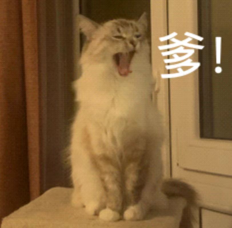 微信图片_20250926171353_656_11