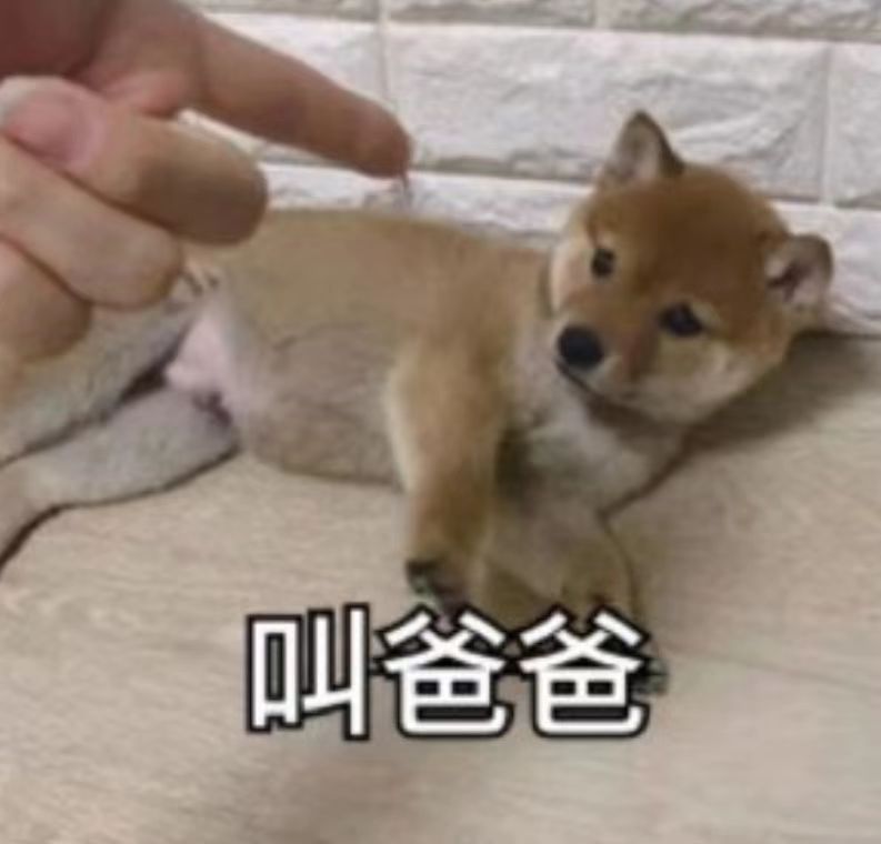 微信图片_20250926171355_658_11