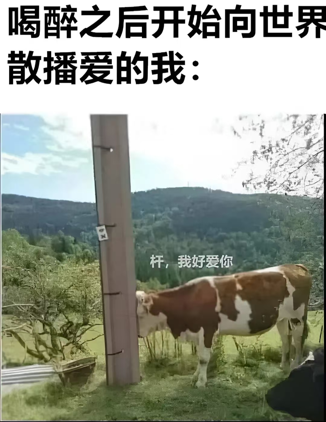 微信图片_20250930162421_710_11